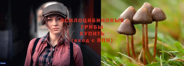 ешки Алексеевка