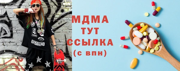 шишки Новодвинск